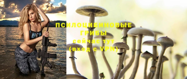 кокаин колумбия Белокуриха