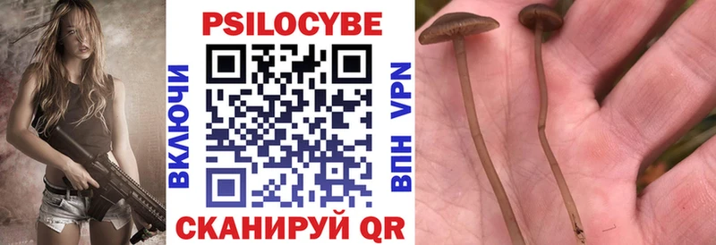 мега ССЫЛКА  Бутурлиновка  Псилоцибиновые грибы ЛСД  сколько стоит 