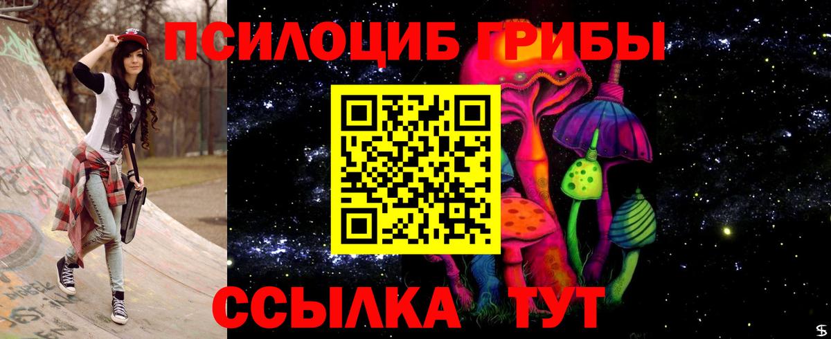 Псилоцибиновые грибы Psilocybine cubensis  Вход с VPN  Бутурлиновка 