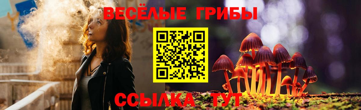Псилоцибиновые грибы мухоморы Бутурлиновка